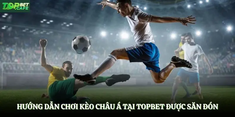 Hướng dẫn chơi kèo châu Á tại Topbet được săn đón